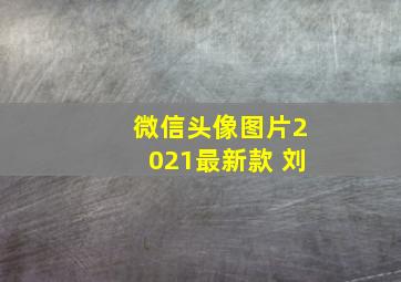 微信头像图片2021最新款 刘